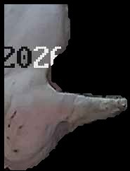 Crop