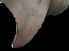 Crop