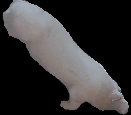 Crop