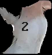 Crop