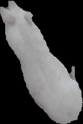 Crop