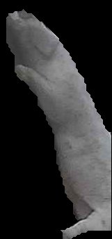 Crop