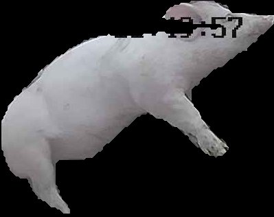 Crop