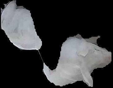 Crop