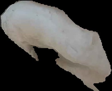 Crop
