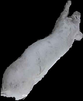 Crop