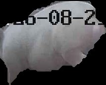 Crop
