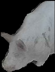 Crop