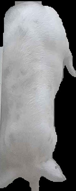 Crop