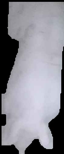 Crop