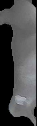 Crop
