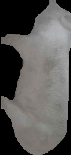 Crop
