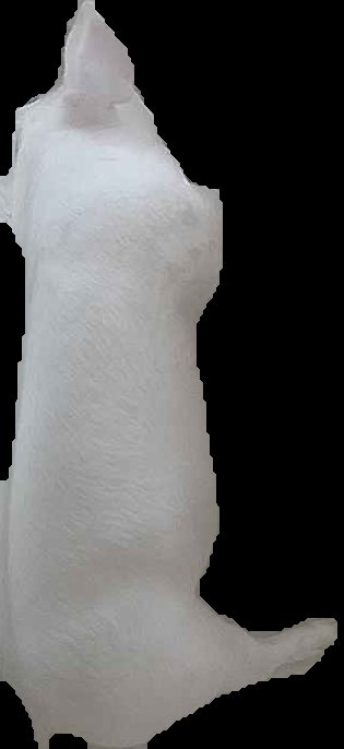 Crop