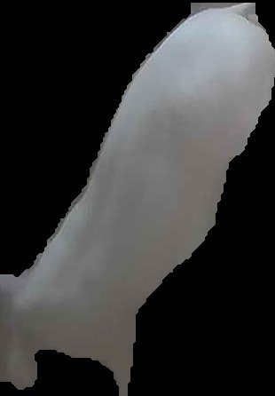 Crop