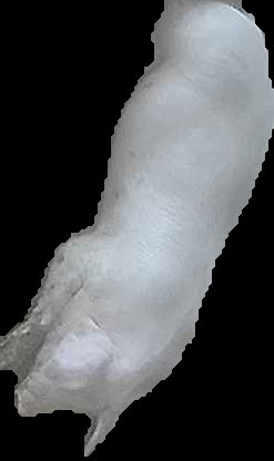 Crop