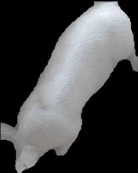 Crop