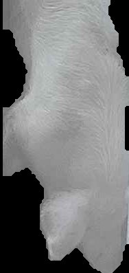 Crop