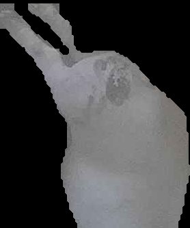 Crop