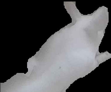 Crop
