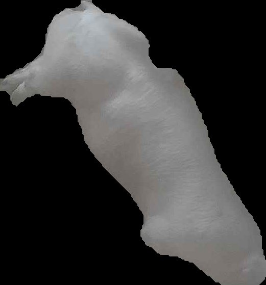 Crop