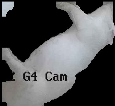 Crop