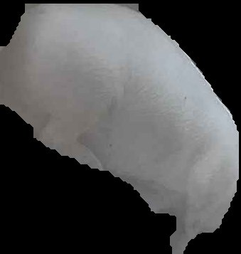Crop