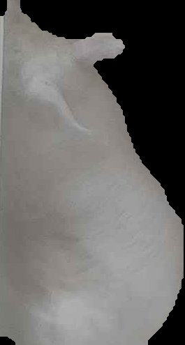 Crop