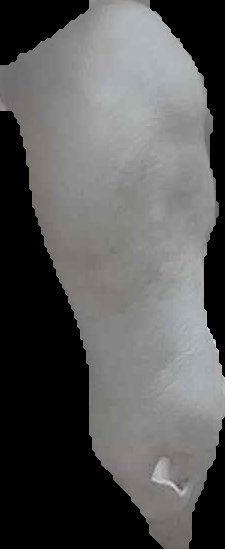 Crop