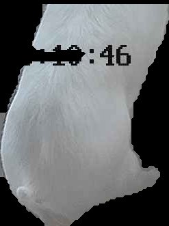 Crop