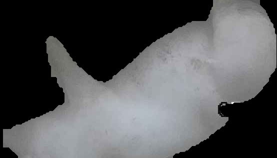Crop