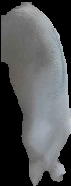 Crop
