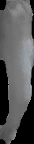 Crop