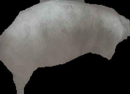 Crop