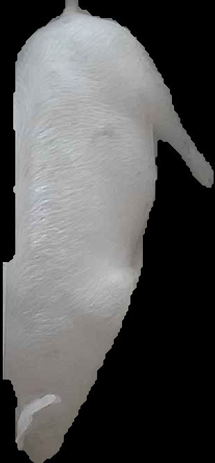 Crop