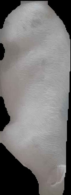 Crop