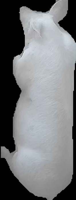 Crop