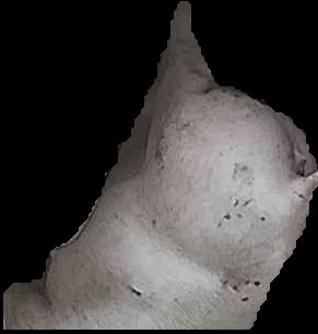 Crop