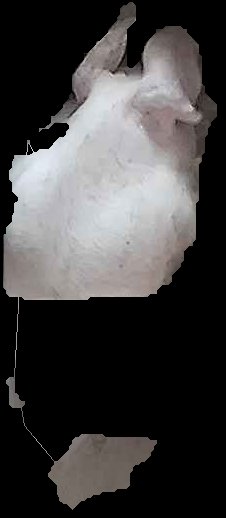 Crop