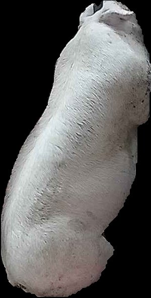 Crop