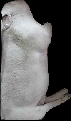 Crop