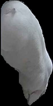 Crop