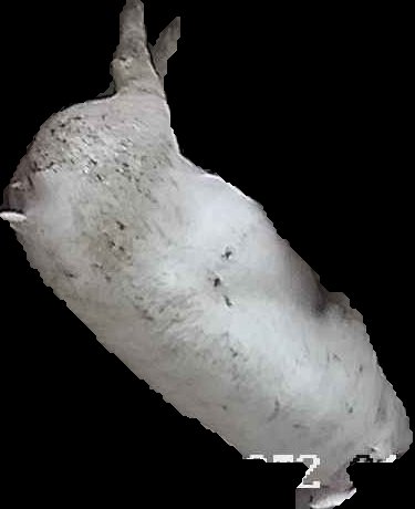 Crop