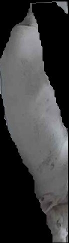 Crop