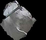 Crop
