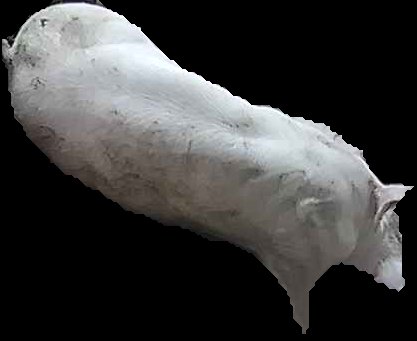 Crop