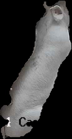 Crop