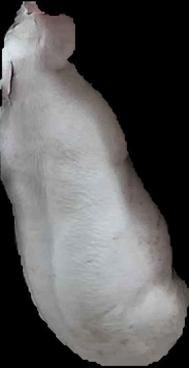 Crop