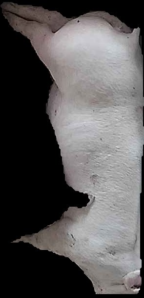 Crop