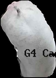 Crop