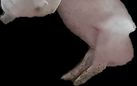 Crop